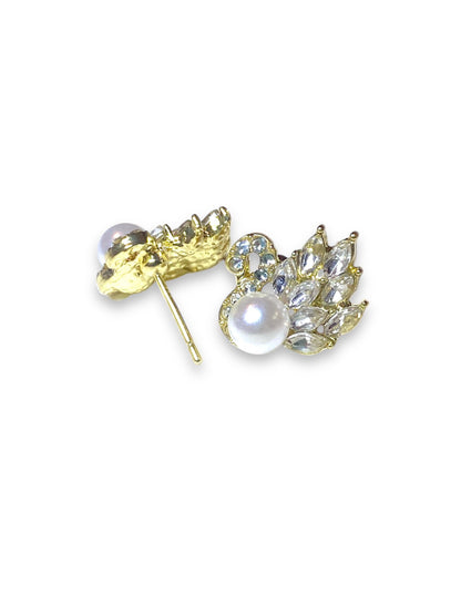 Pendientes de Cisne Blanco